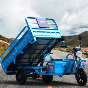 electric cargo trike main